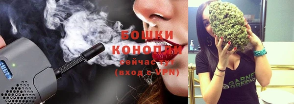 мяу мяу мука Инсар