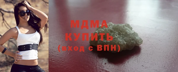 прущие грибы Инта