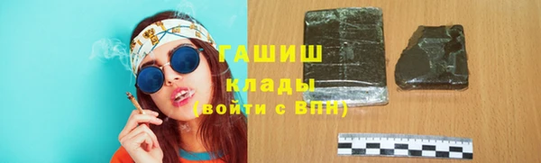 прущие грибы Инта