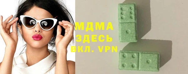 прущие грибы Инта