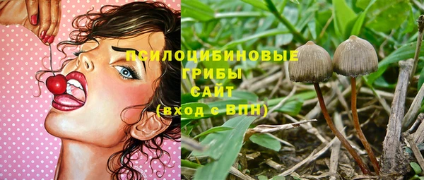 мяу мяу мука Инсар