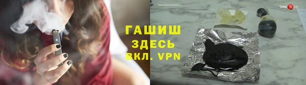 прущие грибы Инта