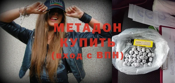 прущие грибы Инта