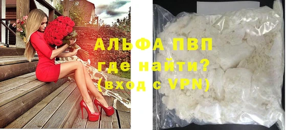прущие грибы Инта
