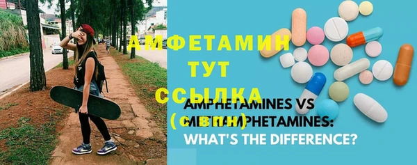прущие грибы Инта