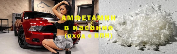 мяу мяу мука Инсар