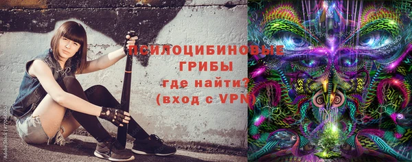 прущие грибы Инта