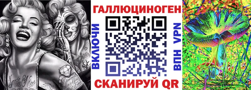 Купить где  Лагань  Псилоцибиновые грибы мицелий 